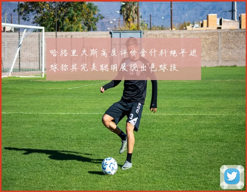 哈格里夫斯高度评价舍什科绝平进球称其完美聪明展现出色球技