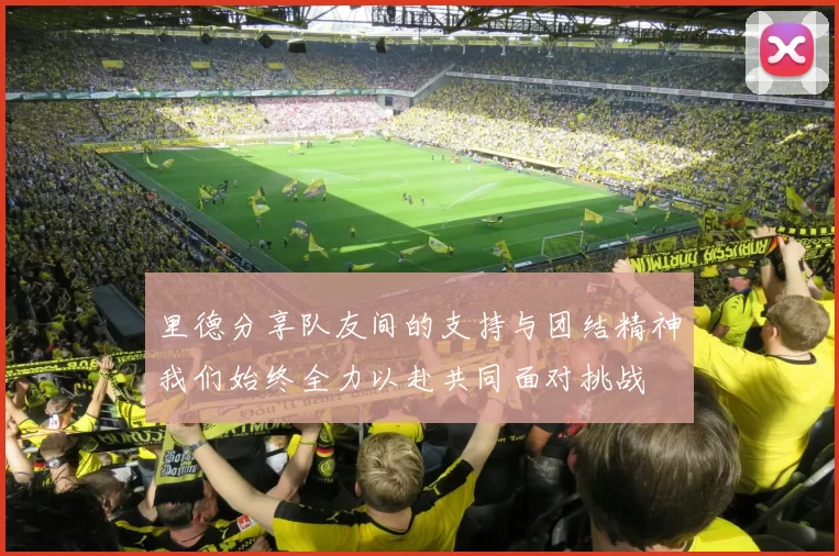 里德分享队友间的支持与团结精神我们始终全力以赴共同面对挑战