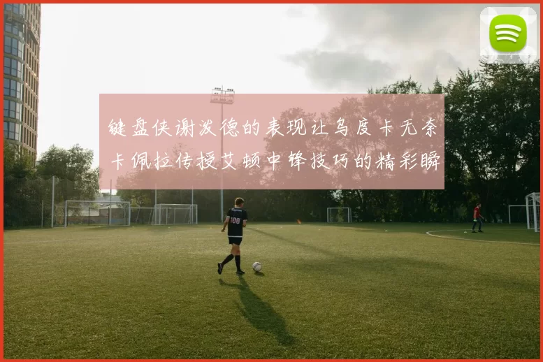 键盘侠谢泼德的表现让乌度卡无奈卡佩拉传授艾顿中锋技巧的精彩瞬间